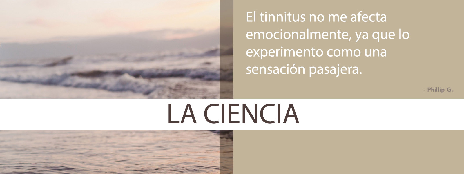 Mindfulness-Based Tinnitus Stress Reduction