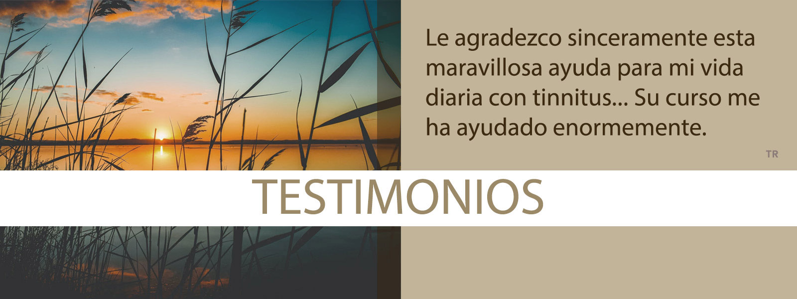 Mindfulness-Based Tinnitus Stress Reduction