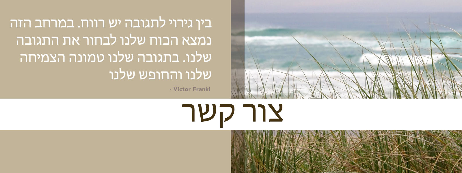 Mindfulness-Based Tinnitus Stress Reduction